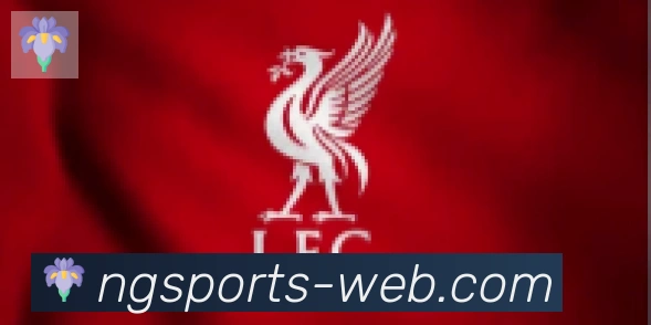 南宫体育合作伙伴