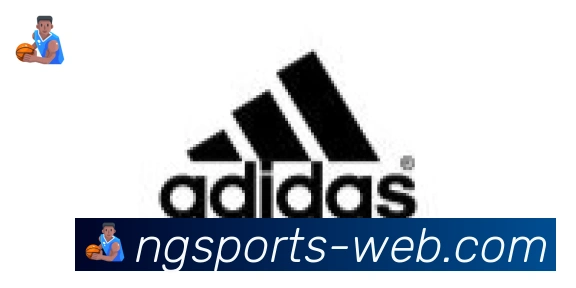 南宫体育合作伙伴