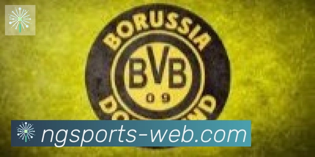 南宫体育合作伙伴